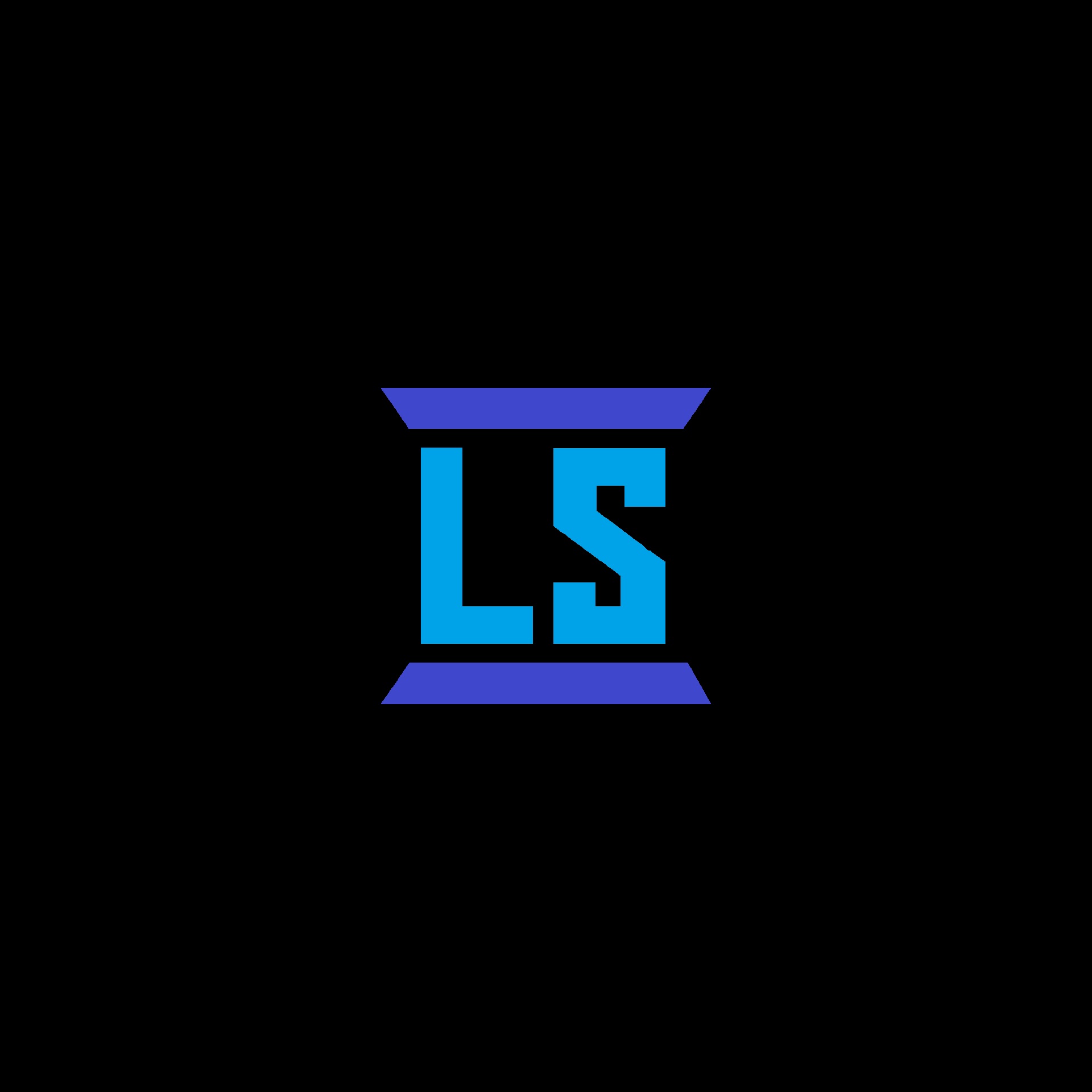 LS LOGO